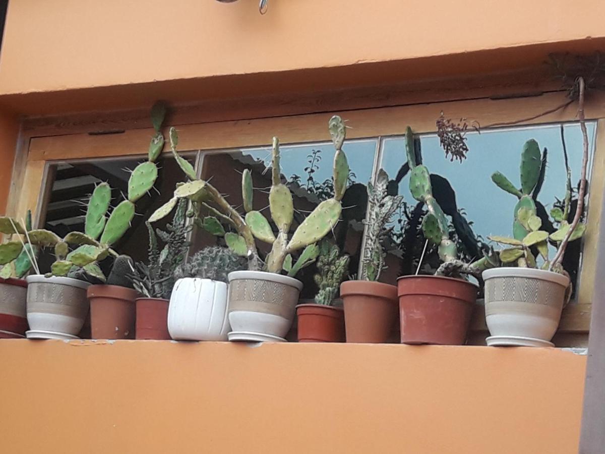 La Biblioteca Διαμέρισμα Olavarría Εξωτερικό φωτογραφία